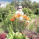 Елена, 63