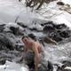 прЫнц, 40