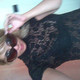 yana, 41 (1 , 0 )