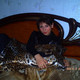Ирина, 35