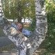 alesy, 44