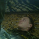 , 30