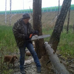 Алексей, 38