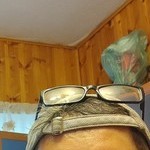 Алексей, 49