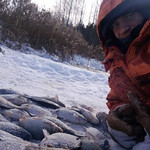 aleksandr, 36