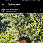 doston, 30 (2 фото, 0 видео)