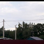 Волчонок, 36