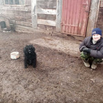 Денис Кривошеин, 21