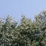 Игорь, 36 (1 фото, 0 видео)