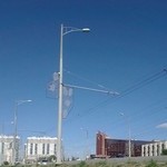 Слава Тара, 28