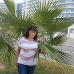 , 55