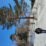 Антонина, 61
